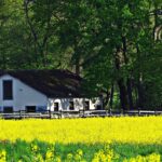 Agriturismo economico: paesaggio serale con alloggio sotto i 40 euro a marzo.