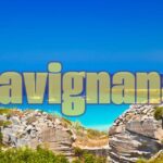 Vista panoramica dell'isola di Capraia, con acque turchesi e vegetazione lussureggiante.