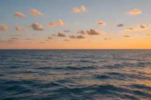 Avvistamento cetacei a Genova: il periodo migliore e dove andare